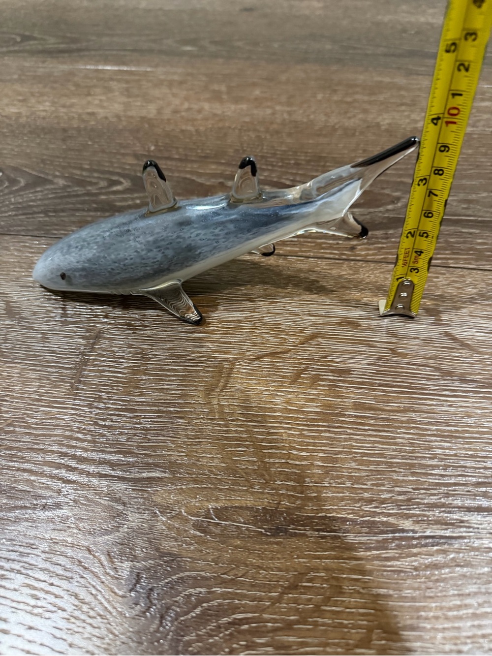 Dynasty gallery shark glass - Picture 8 of 10